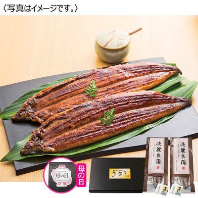 淡麗良蒲 うなぎ蒲焼2尾セット