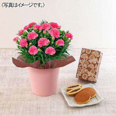 カーネーション（ピンク）＆長崎堂「栗入りみかさ」セット