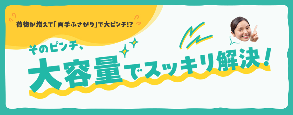 カタログタイトル