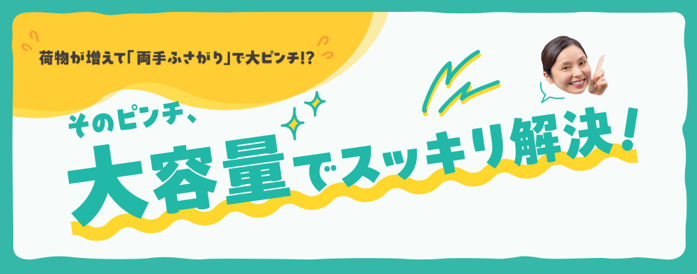 カタログタイトル